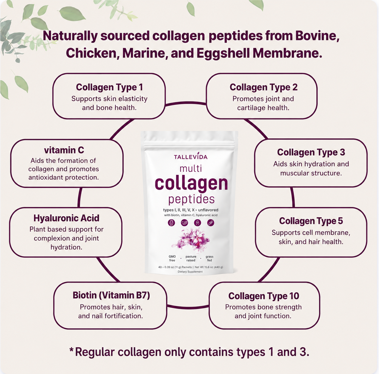 Multi Collagen Peptides Powder